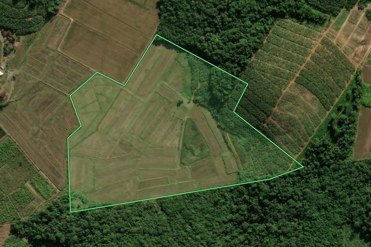 Imagem de satélite do imóvel rural em Massaranduba (SC), com o contorno declarado no CAR desenhado por cima.
