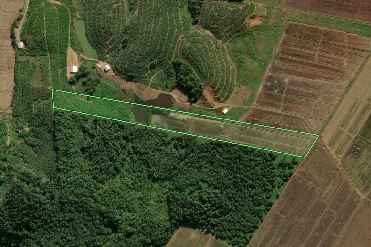Imagem de satélite do imóvel rural em Massaranduba (SC), com o contorno declarado no CAR desenhado por cima.