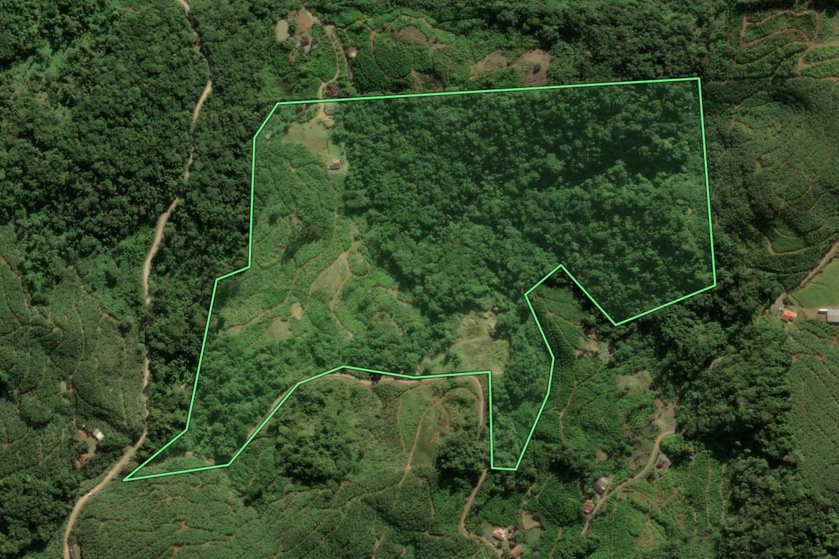 Imagem de satélite do imóvel rural em Massaranduba (SC), com o contorno declarado no CAR desenhado por cima.