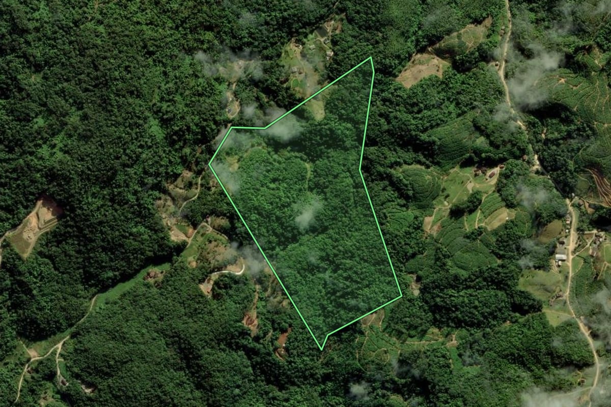 Imagem de satélite do imóvel rural em Massaranduba (SC), com o contorno declarado no CAR desenhado por cima.