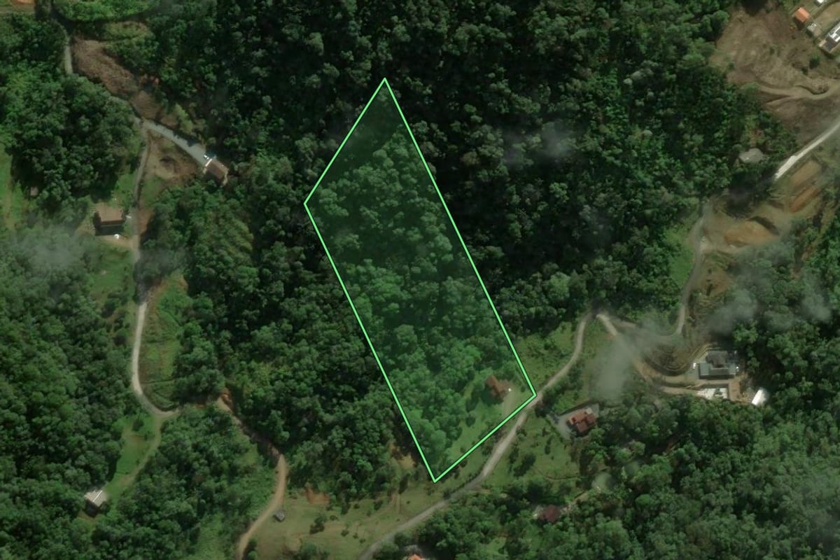 Imagem de satélite do imóvel rural em Massaranduba (SC), com o contorno declarado no CAR desenhado por cima.