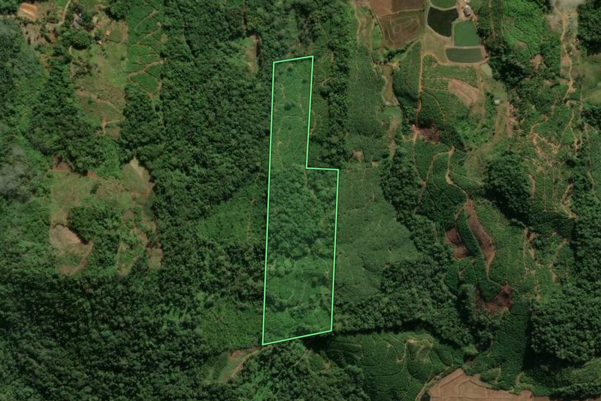 Imagem de satélite do imóvel rural em Massaranduba (SC), com o contorno declarado no CAR desenhado por cima.