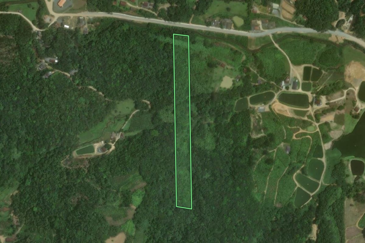 Imagem de satélite do imóvel rural em Massaranduba (SC), com o contorno declarado no CAR desenhado por cima.