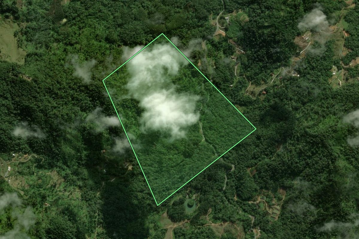Imagem de satélite do imóvel rural em Massaranduba (SC), com o contorno declarado no CAR desenhado por cima.