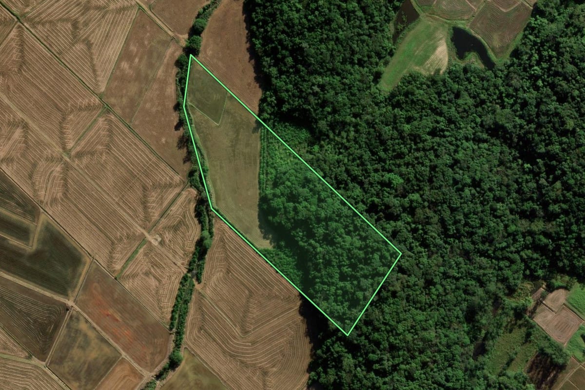Imagem de satélite do imóvel rural em Massaranduba (SC), com o contorno declarado no CAR desenhado por cima.
