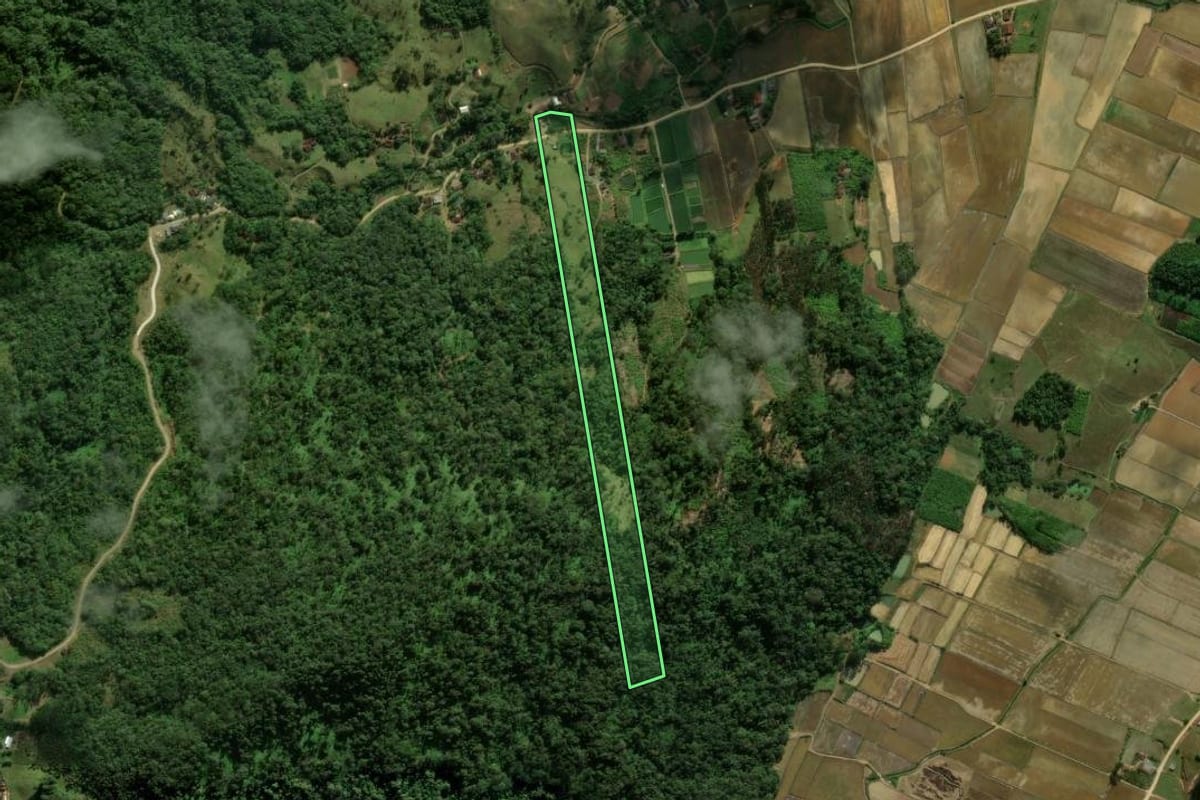 Imagem de satélite do imóvel rural em Massaranduba (SC), com o contorno declarado no CAR desenhado por cima.