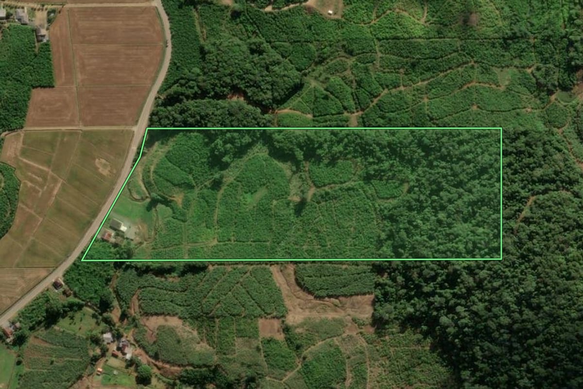 Imagem de satélite do imóvel rural em Massaranduba (SC), com o contorno declarado no CAR desenhado por cima.
