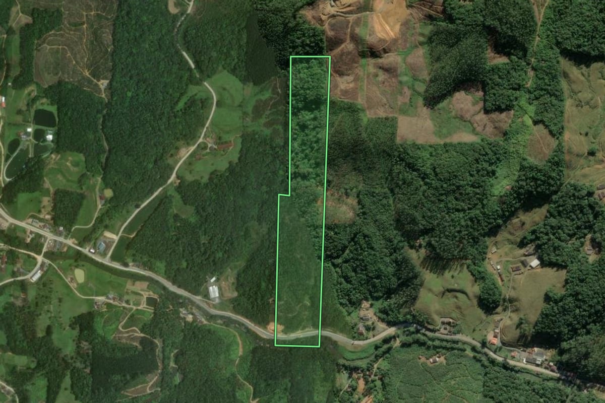 Imagem de satélite do imóvel rural em Massaranduba (SC), com o contorno declarado no CAR desenhado por cima.