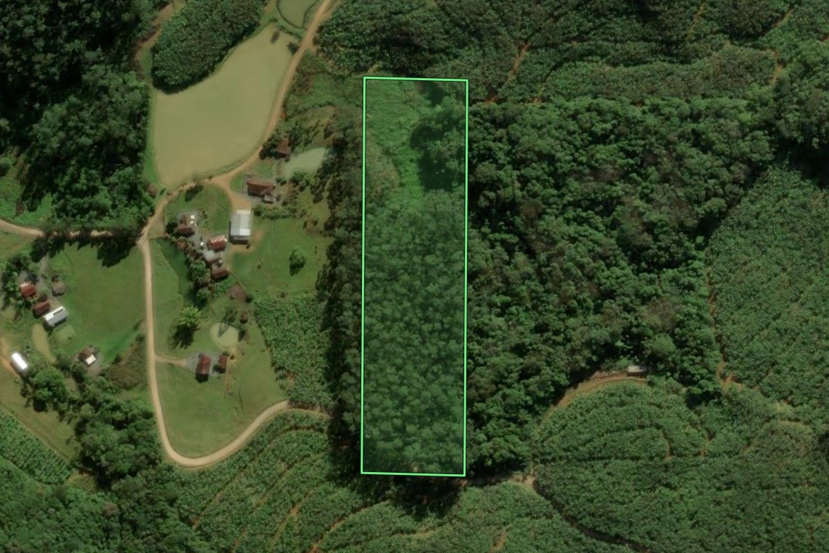 Imagem de satélite do imóvel rural em Massaranduba (SC), com o contorno declarado no CAR desenhado por cima.