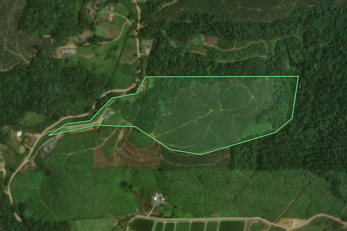 Imagem de satélite do imóvel rural em Massaranduba (SC), com o contorno declarado no CAR desenhado por cima.