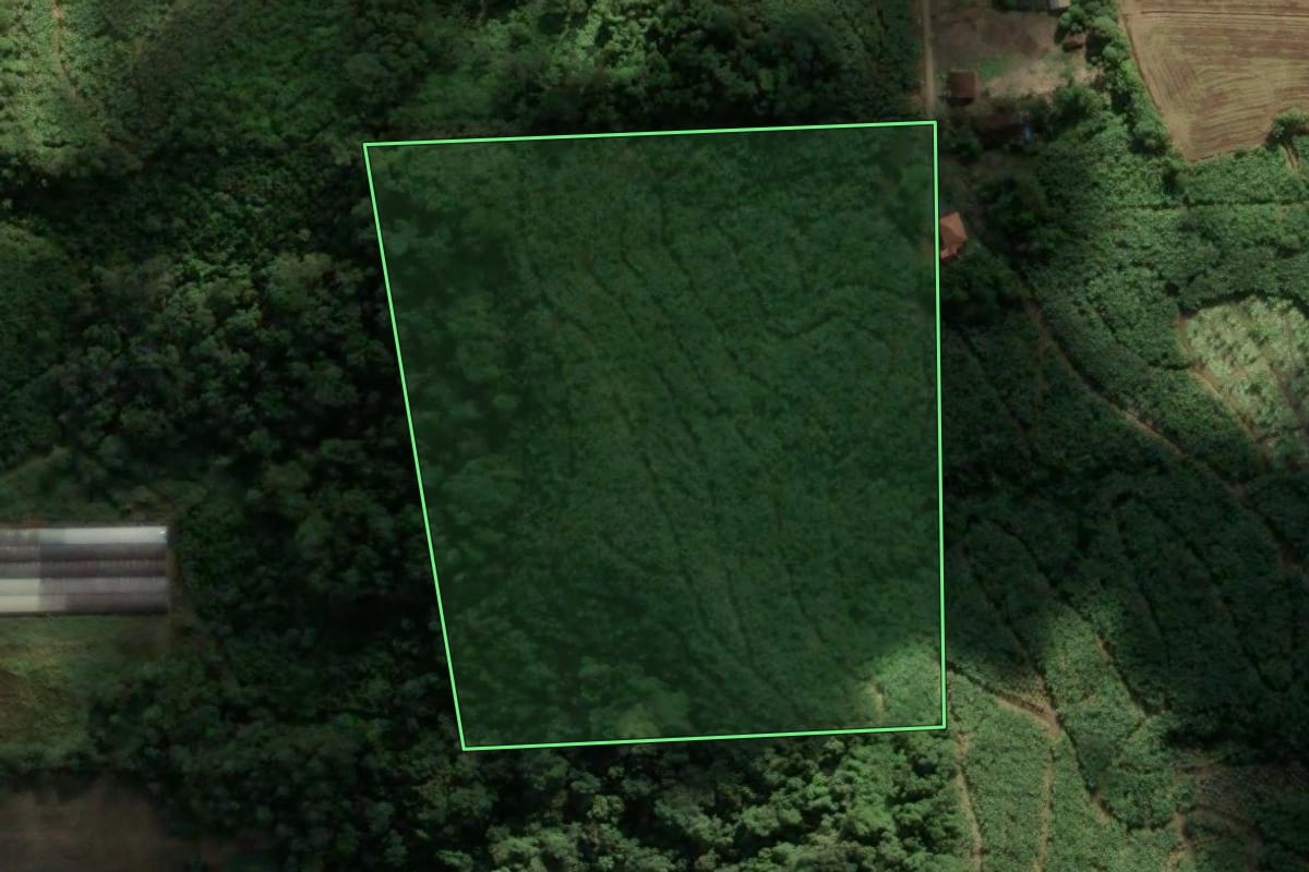 Imagem de satélite do imóvel rural em Massaranduba (SC), com o contorno declarado no CAR desenhado por cima.