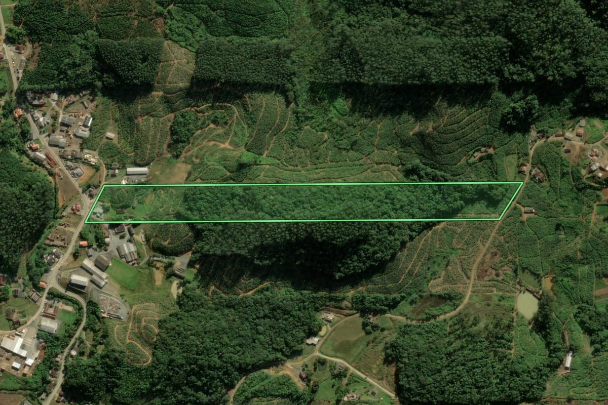 Imagem de satélite do imóvel rural em Massaranduba (SC), com o contorno declarado no CAR desenhado por cima.