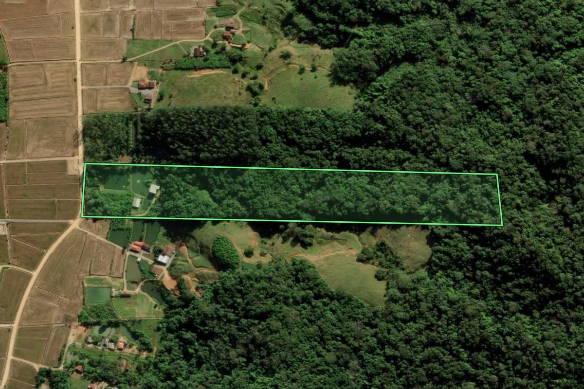Imagem de satélite do imóvel rural em Massaranduba (SC), com o contorno declarado no CAR desenhado por cima.