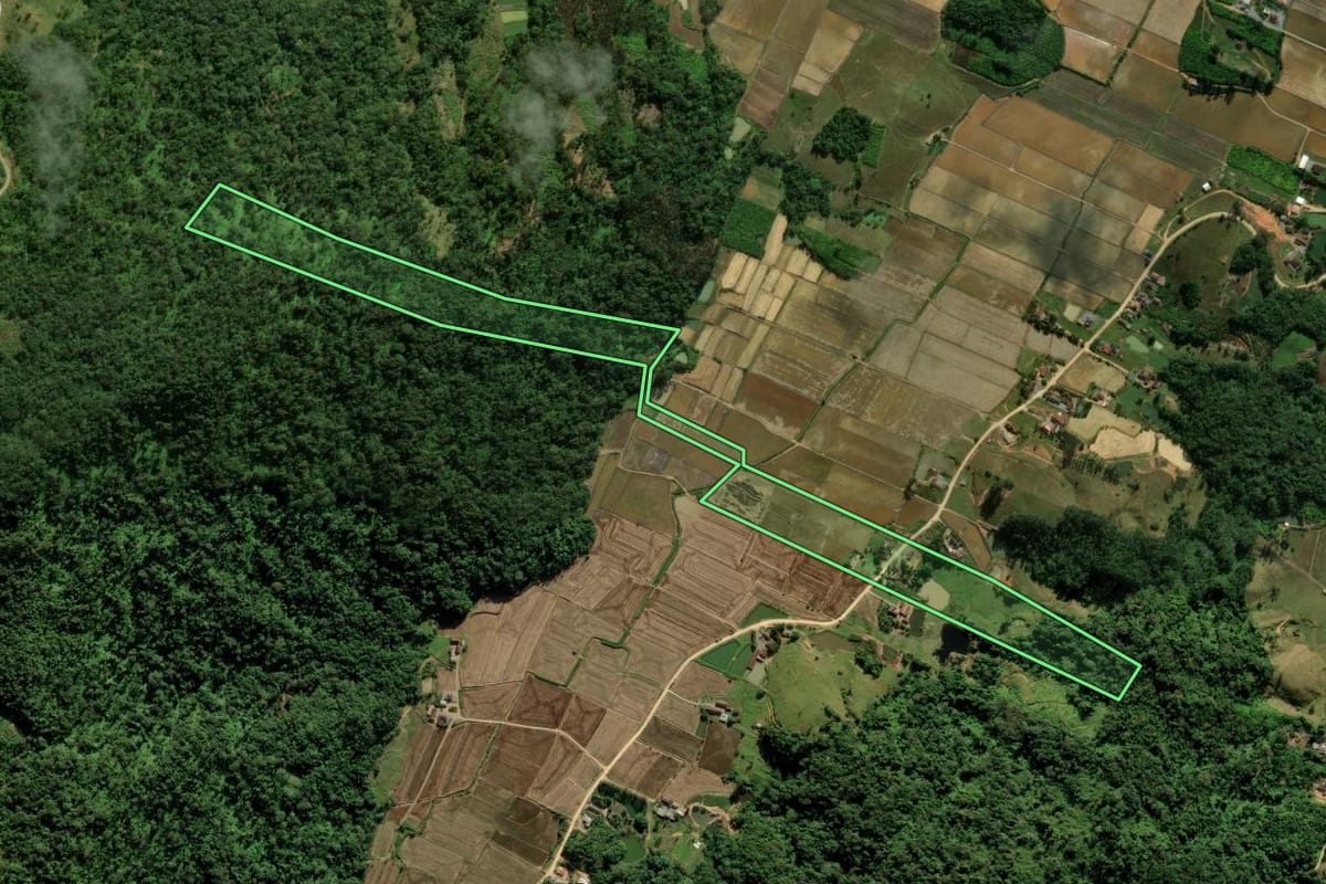 Imagem de satélite do imóvel rural em Massaranduba (SC), com o contorno declarado no CAR desenhado por cima.