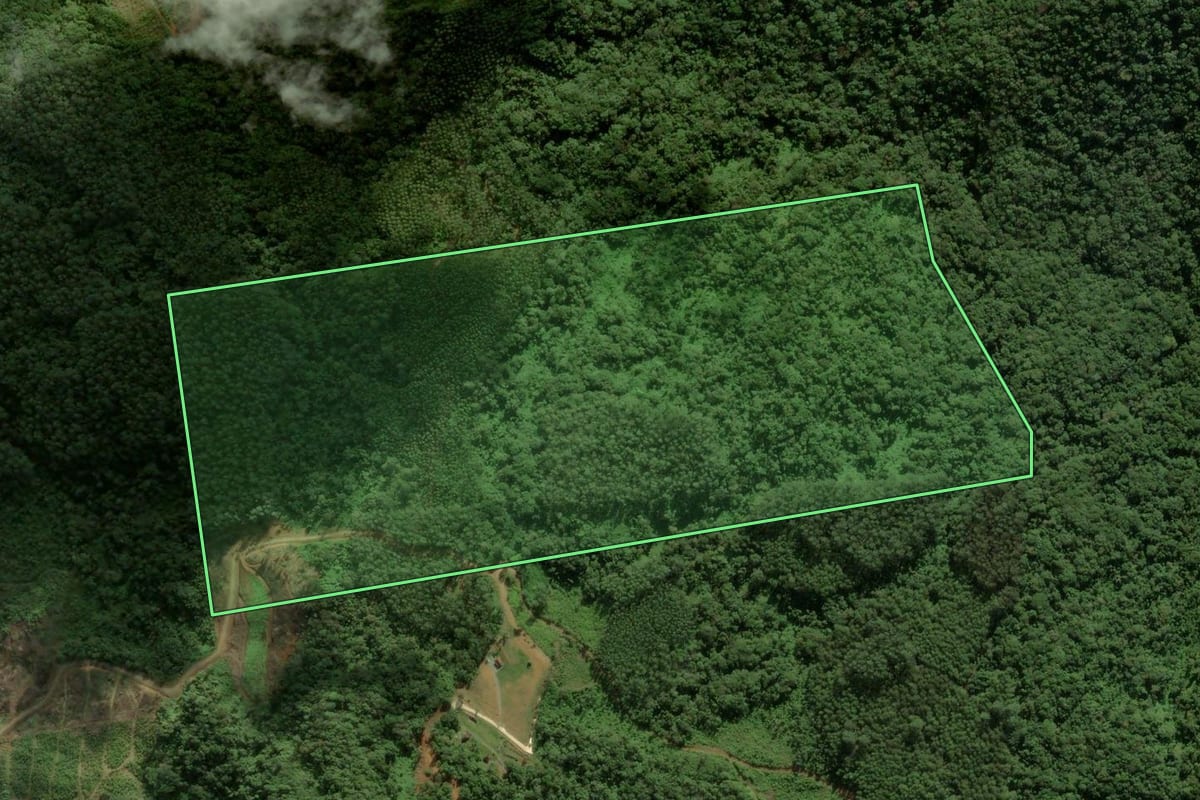 Imagem de satélite do imóvel rural em Massaranduba (SC), com o contorno declarado no CAR desenhado por cima.
