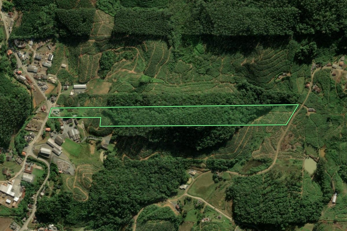 Imagem de satélite do imóvel rural em Massaranduba (SC), com o contorno declarado no CAR desenhado por cima.