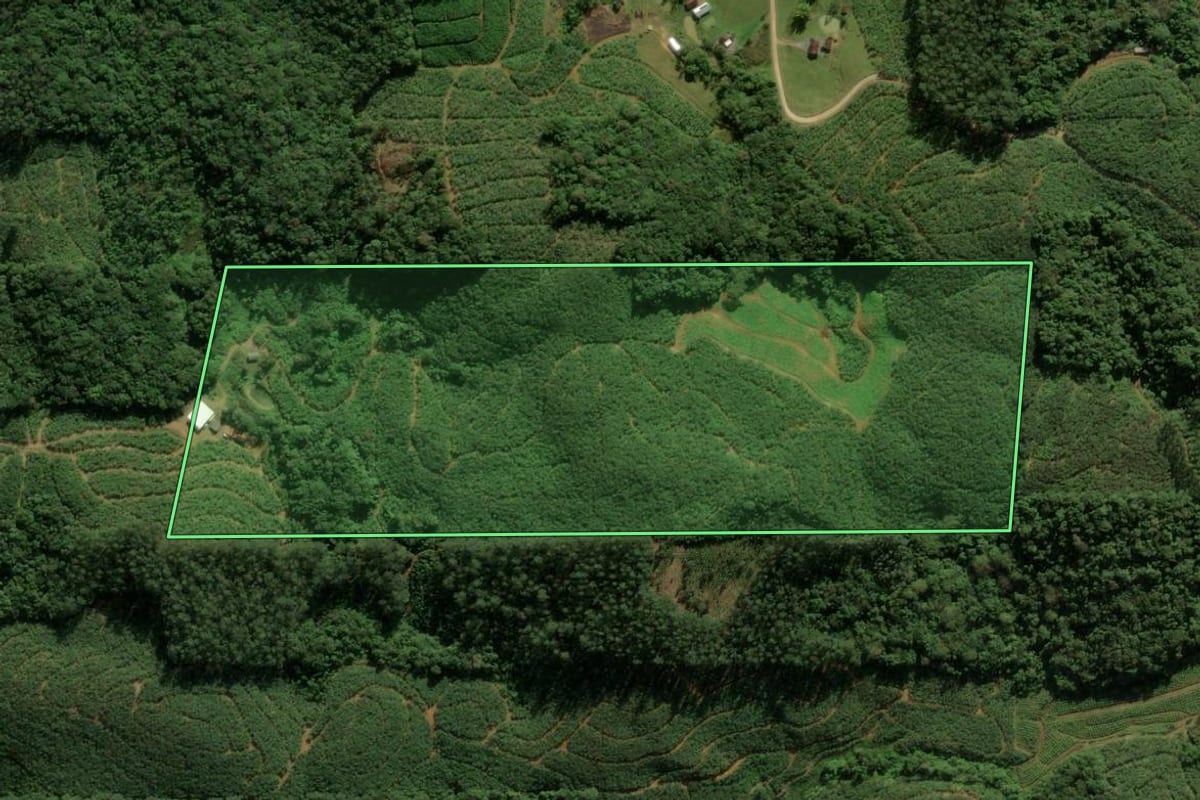 Imagem de satélite do imóvel rural em Massaranduba (SC), com o contorno declarado no CAR desenhado por cima.