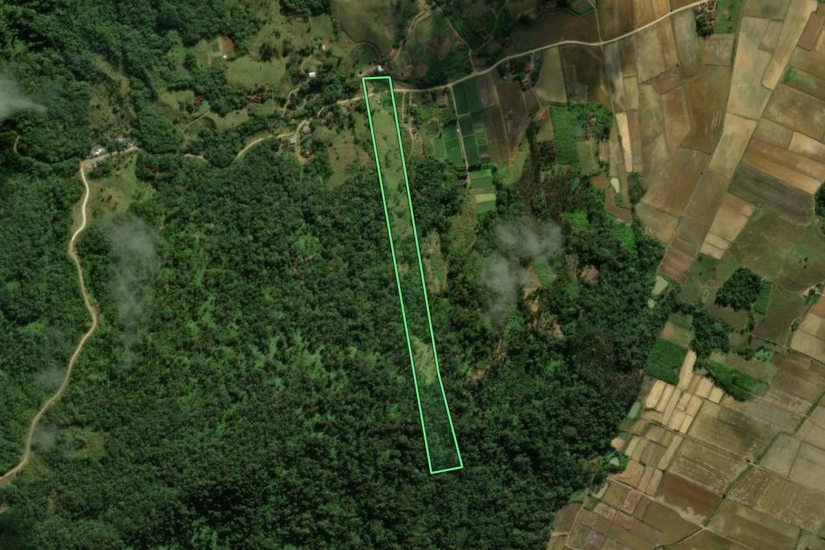 Imagem de satélite do imóvel rural em Massaranduba (SC), com o contorno declarado no CAR desenhado por cima.