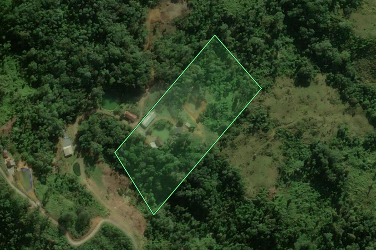 Imagem de satélite do imóvel rural em Massaranduba (SC), com o contorno declarado no CAR desenhado por cima.