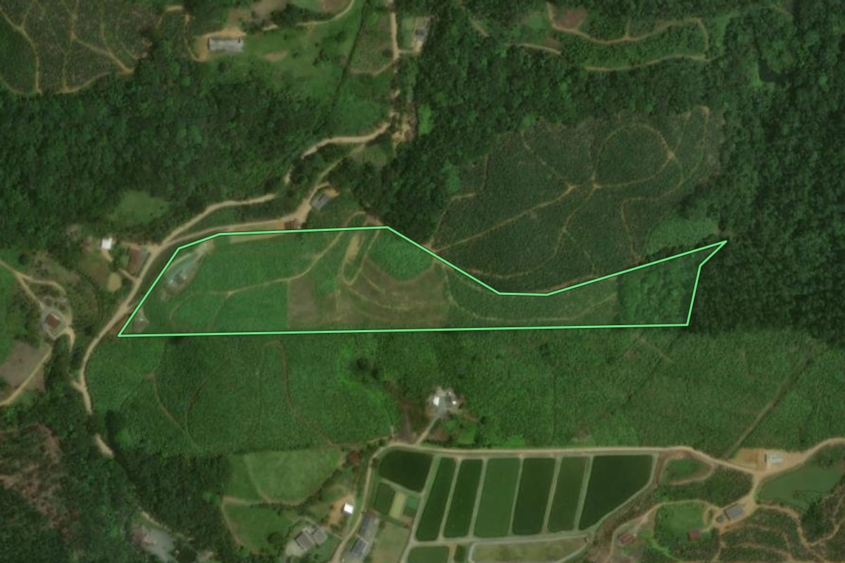 Imagem de satélite do imóvel rural em Massaranduba (SC), com o contorno declarado no CAR desenhado por cima.