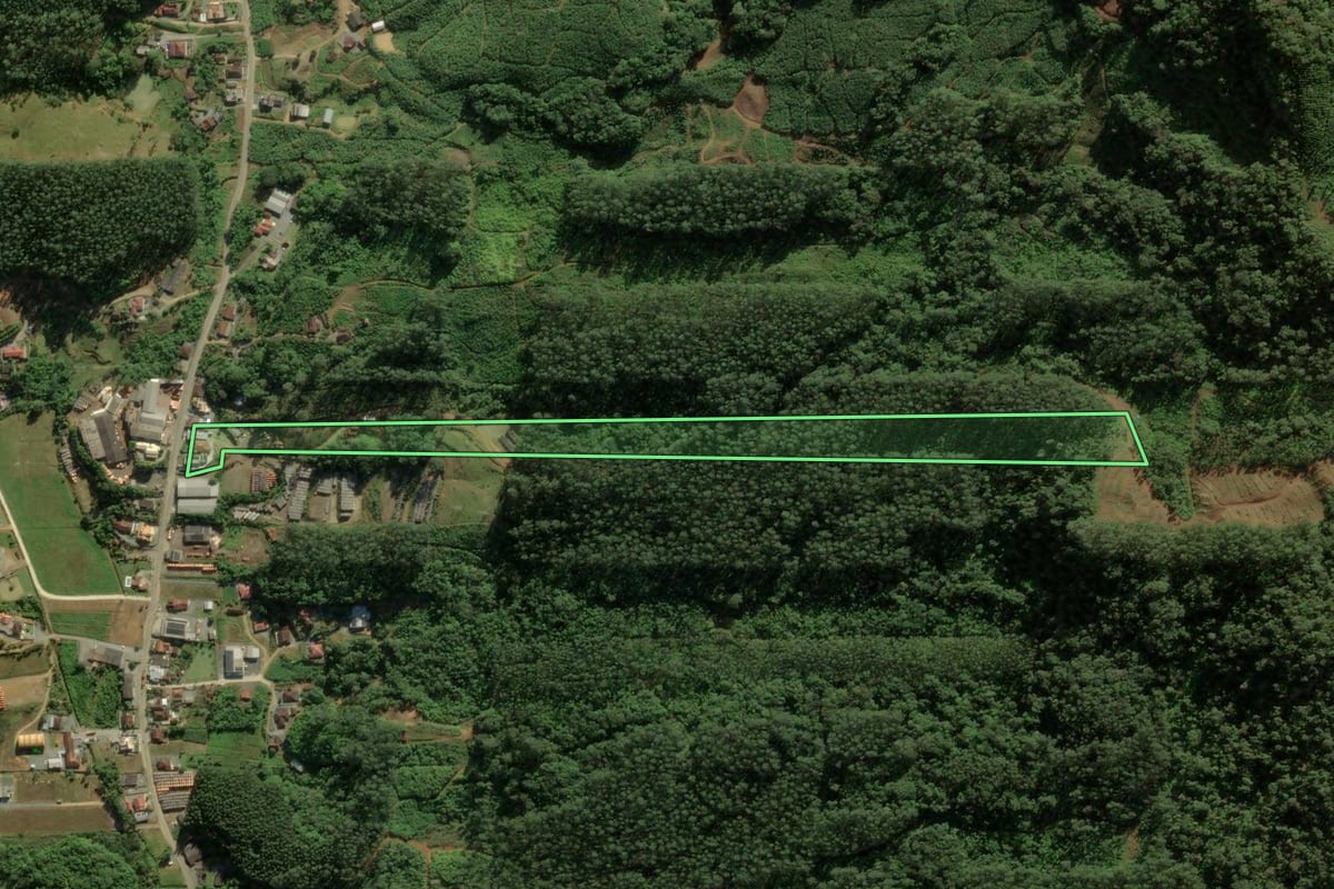 Imagem de satélite do imóvel rural em Massaranduba (SC), com o contorno declarado no CAR desenhado por cima.