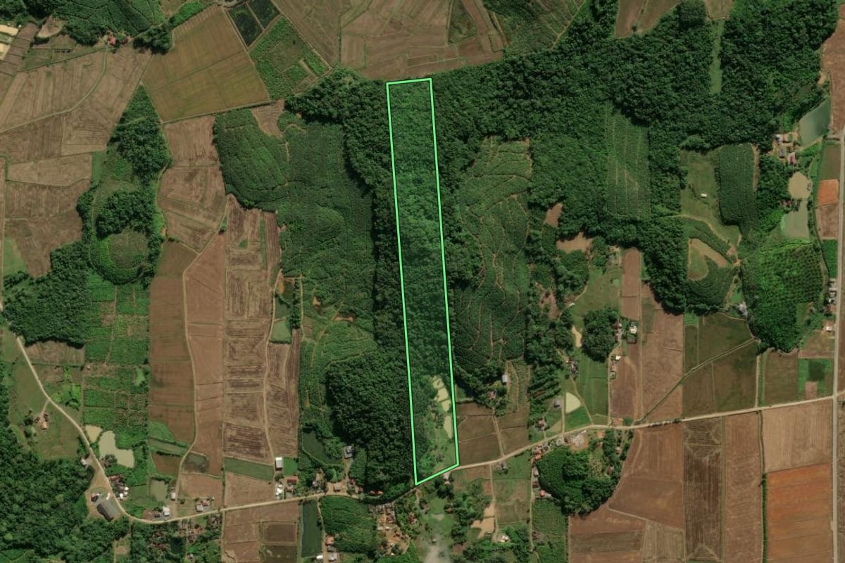 Imagem de satélite do imóvel rural em Massaranduba (SC), com o contorno declarado no CAR desenhado por cima.