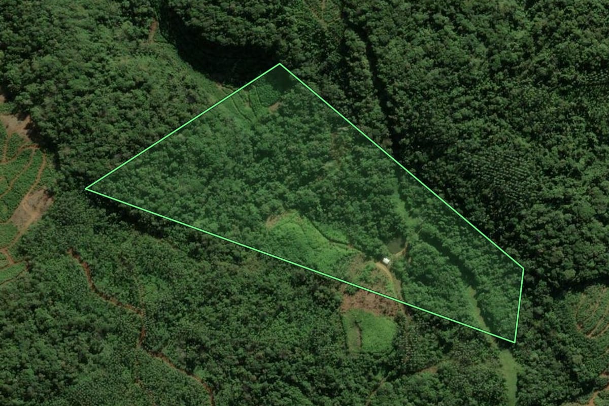 Imagem de satélite do imóvel rural em Massaranduba (SC), com o contorno declarado no CAR desenhado por cima.