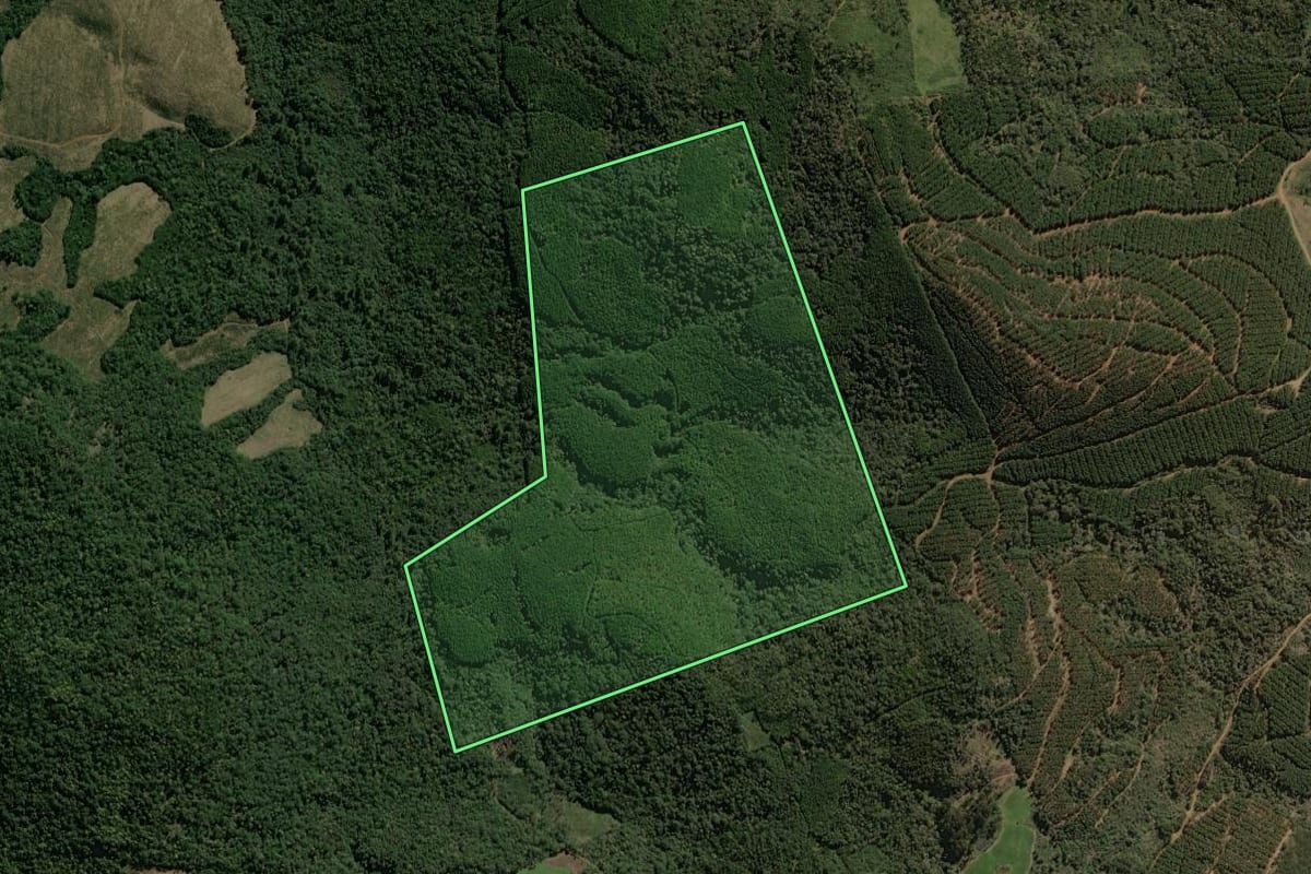 Imagem de satélite do imóvel rural em Matos Costa (SC), com o contorno declarado no CAR desenhado por cima.