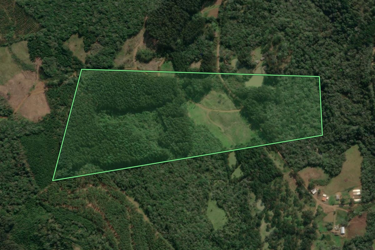 Imagem de satélite do imóvel rural em Matos Costa (SC), com o contorno declarado no CAR desenhado por cima.