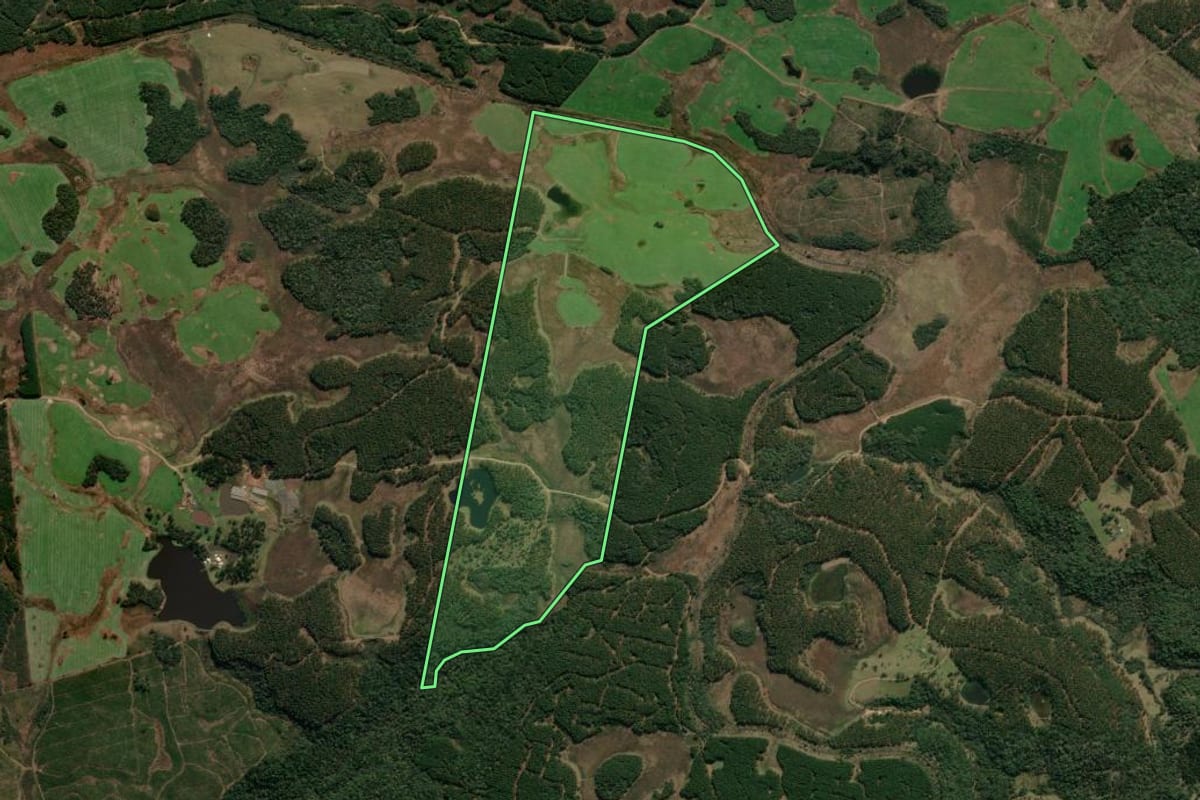 Imagem de satélite do imóvel rural em Matos Costa (SC), com o contorno declarado no CAR desenhado por cima.