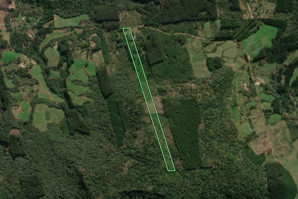 Imagem de satélite do imóvel rural em Matos Costa (SC), com o contorno declarado no CAR desenhado por cima.
