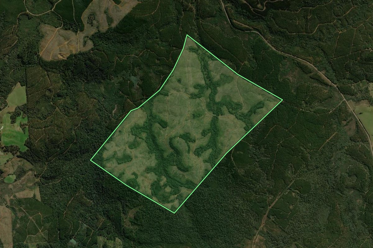 Imagem de satélite do imóvel rural em Matos Costa (SC), com o contorno declarado no CAR desenhado por cima.