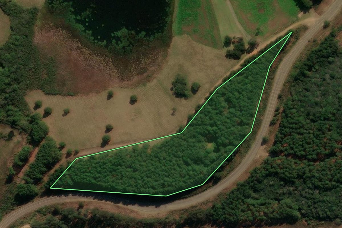 Imagem de satélite do imóvel rural em Matos Costa (SC), com o contorno declarado no CAR desenhado por cima.