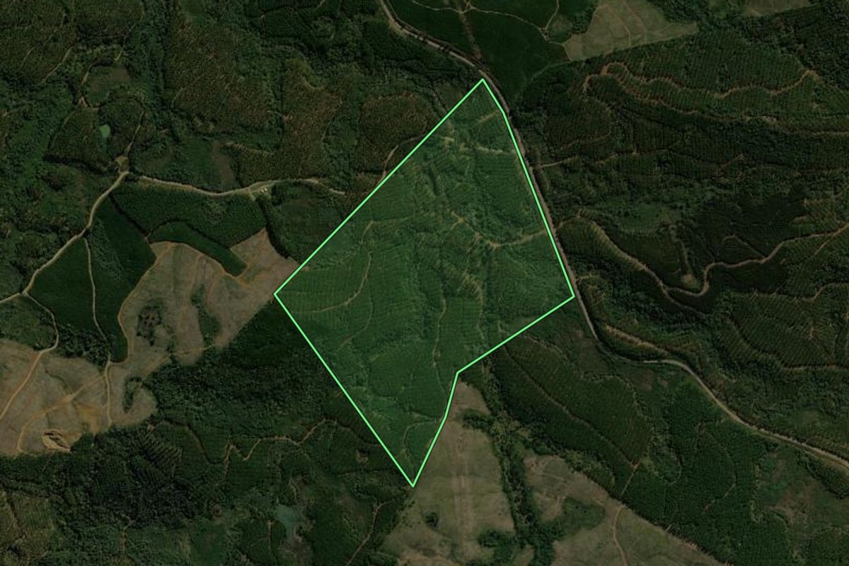 Imagem de satélite do imóvel rural em Matos Costa (SC), com o contorno declarado no CAR desenhado por cima.