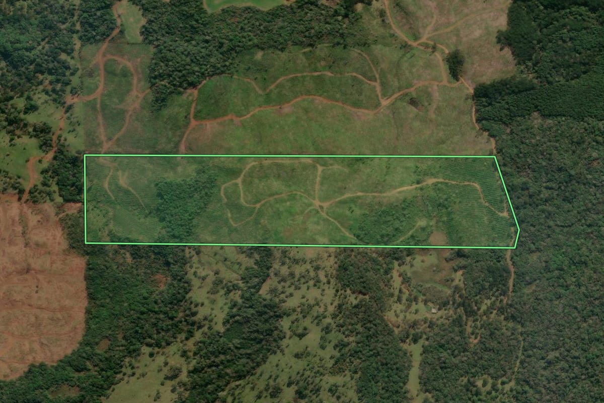 Imagem de satélite do imóvel rural em Matos Costa (SC), com o contorno declarado no CAR desenhado por cima.