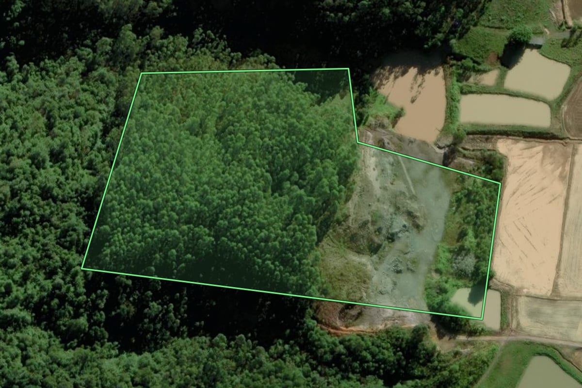 Imagem de satélite do imóvel rural em Meleiro (SC), com o contorno declarado no CAR desenhado por cima.