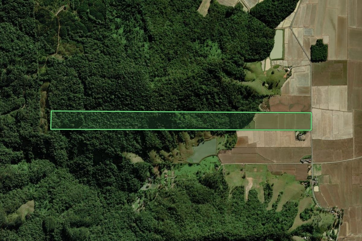 Imagem de satélite do imóvel rural em Meleiro (SC), com o contorno declarado no CAR desenhado por cima.