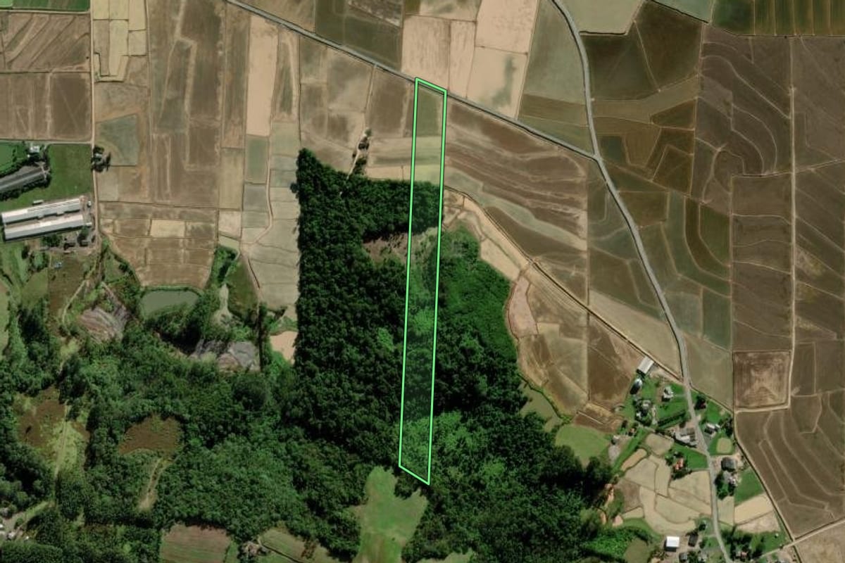 Imagem de satélite do imóvel rural em Meleiro (SC), com o contorno declarado no CAR desenhado por cima.