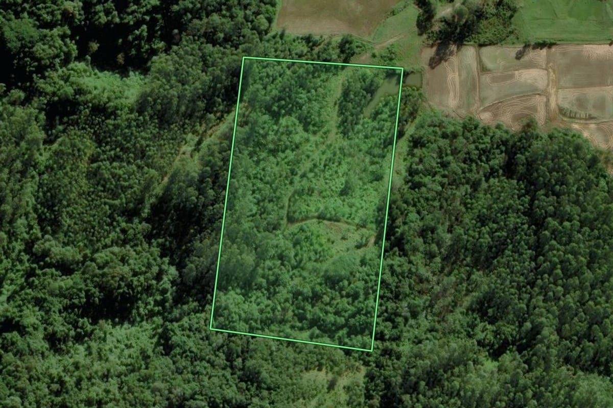 Imagem de satélite do imóvel rural em Meleiro (SC), com o contorno declarado no CAR desenhado por cima.