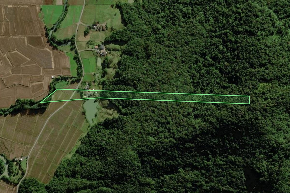 Imagem de satélite do imóvel rural em Meleiro (SC), com o contorno declarado no CAR desenhado por cima.