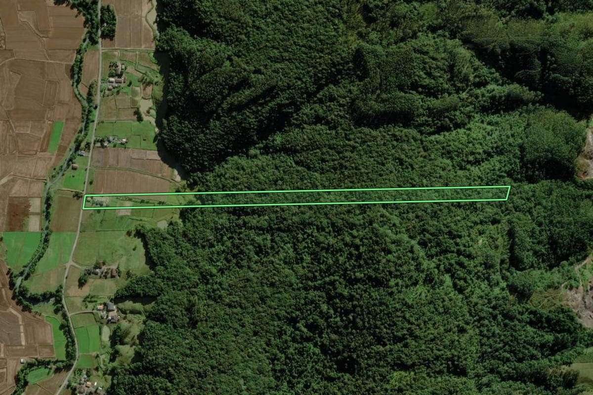 Imagem de satélite do imóvel rural em Meleiro (SC), com o contorno declarado no CAR desenhado por cima.