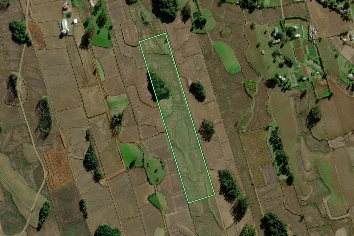 Imagem de satélite do imóvel rural em Meleiro (SC), com o contorno declarado no CAR desenhado por cima.