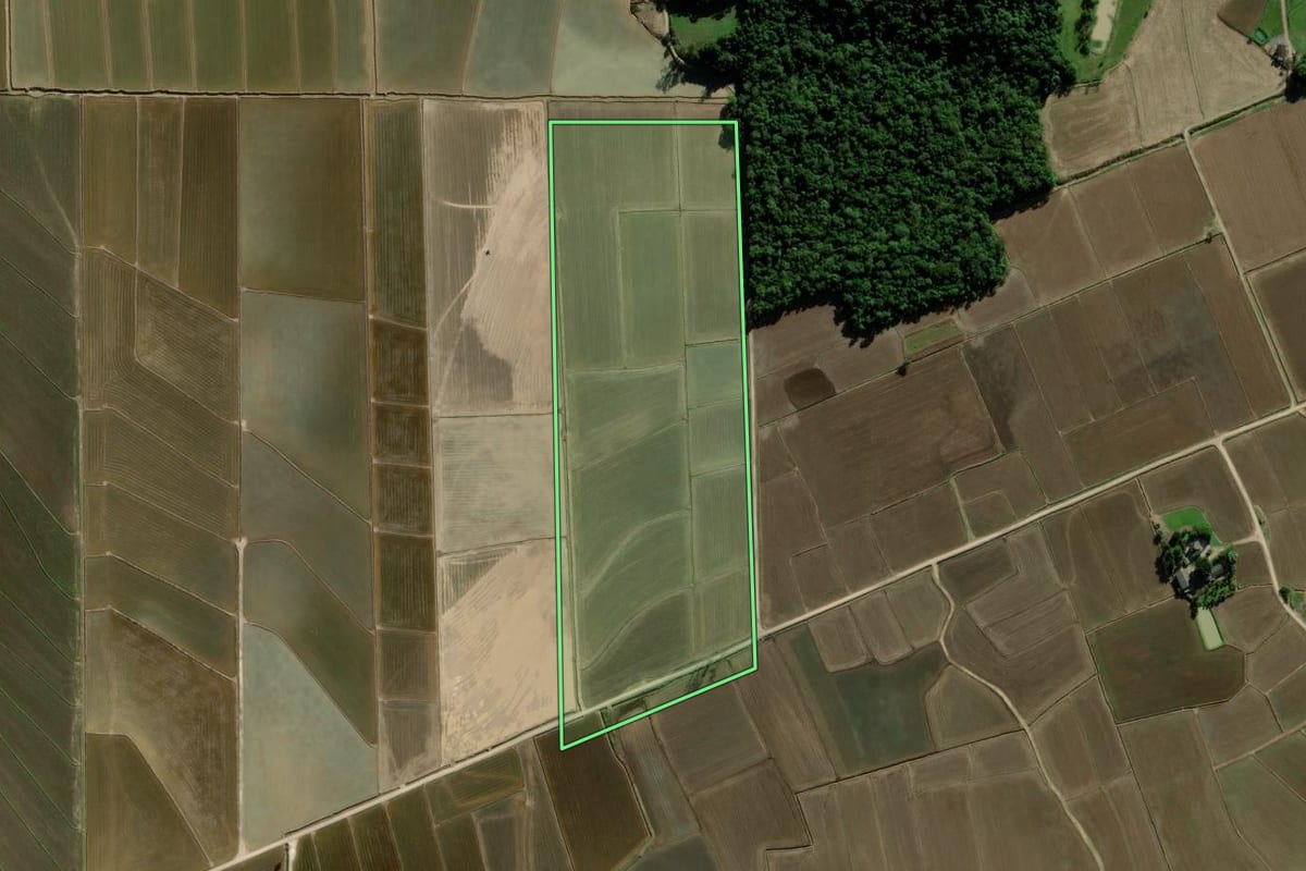 Imagem de satélite do imóvel rural em Meleiro (SC), com o contorno declarado no CAR desenhado por cima.
