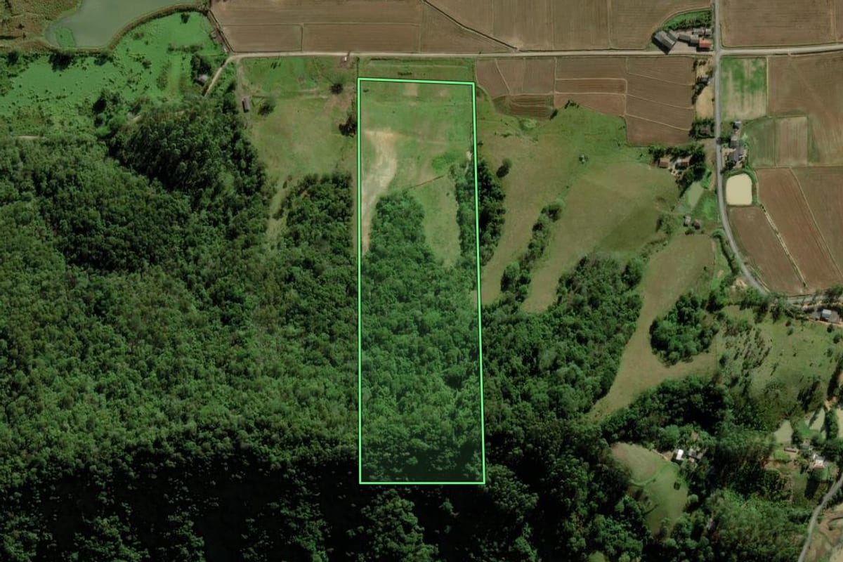 Imagem de satélite do imóvel rural em Meleiro (SC), com o contorno declarado no CAR desenhado por cima.