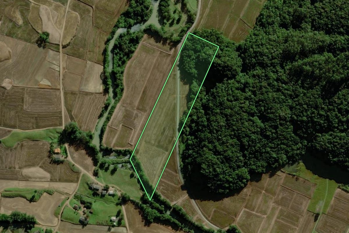 Imagem de satélite do imóvel rural em Meleiro (SC), com o contorno declarado no CAR desenhado por cima.