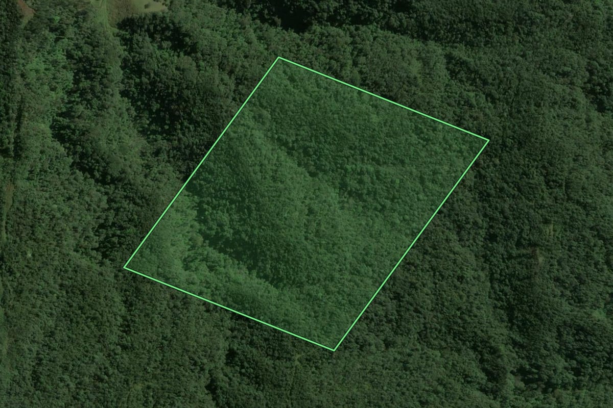 Imagem de satélite do imóvel rural em Mirim Doce (SC), com o contorno declarado no CAR desenhado por cima.