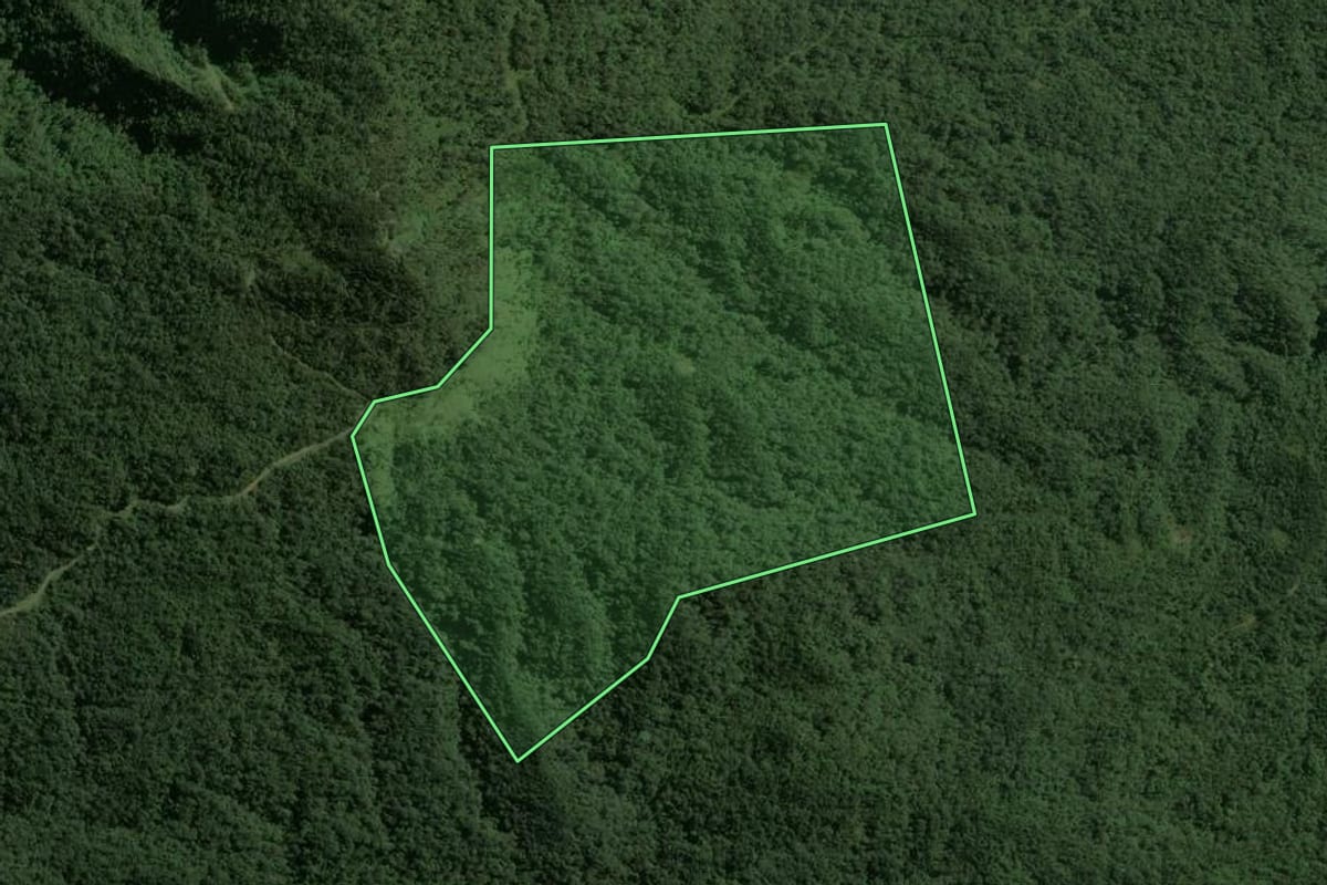 Imagem de satélite do imóvel rural em Mirim Doce (SC), com o contorno declarado no CAR desenhado por cima.