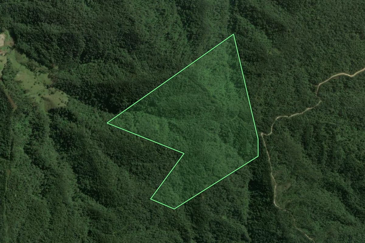 Imagem de satélite do imóvel rural em Mirim Doce (SC), com o contorno declarado no CAR desenhado por cima.