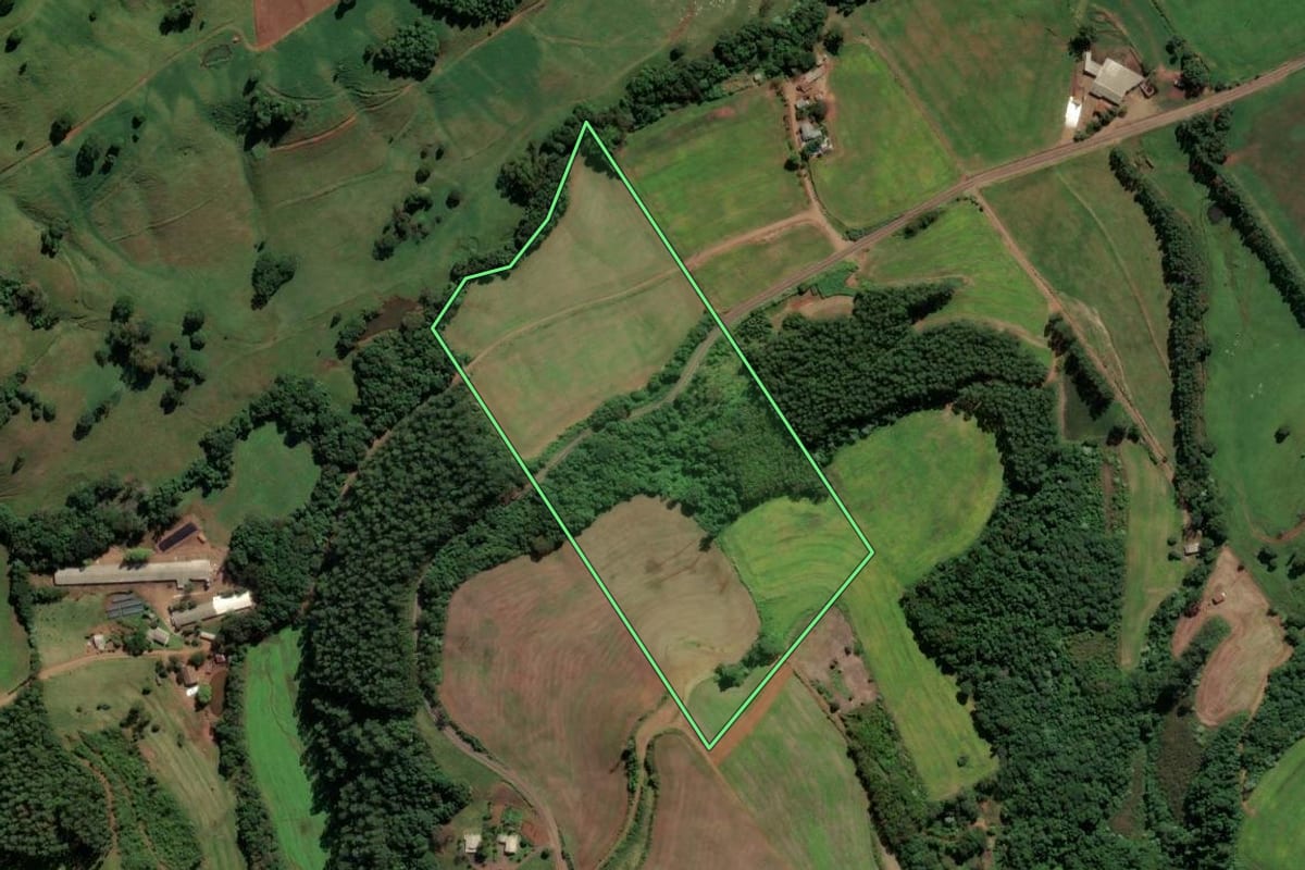 Imagem de satélite do imóvel rural em Modelo (SC), com o contorno declarado no CAR desenhado por cima.