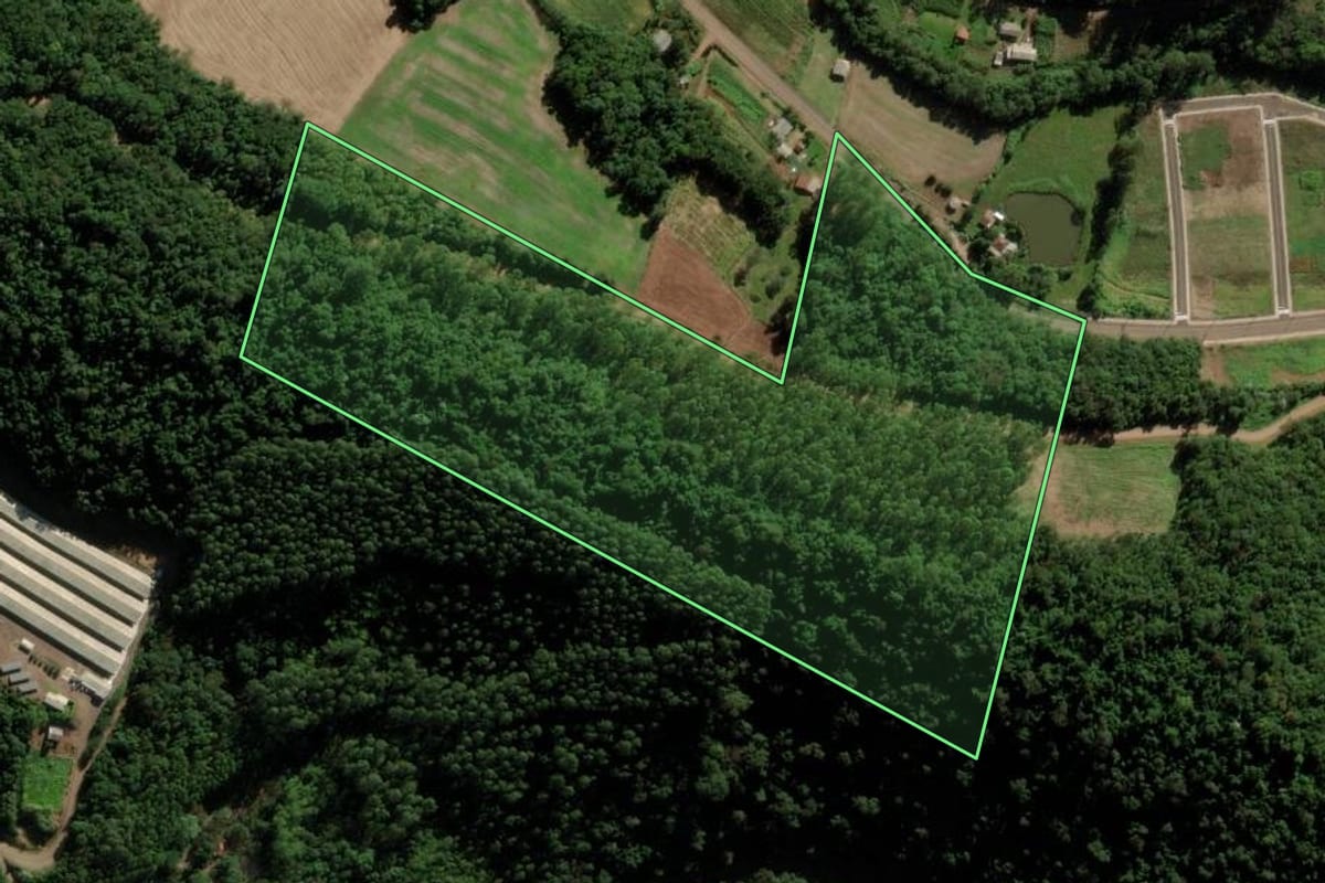 Imagem de satélite do imóvel rural em Modelo (SC), com o contorno declarado no CAR desenhado por cima.
